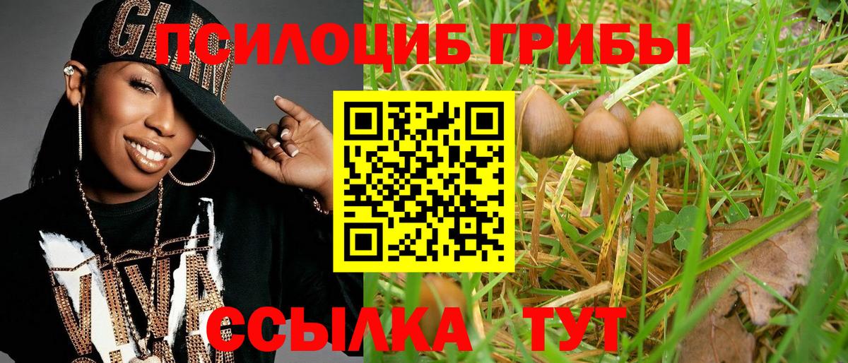 Чернушка  Галлюциногенные грибы Psilocybine cubensis  Вход с VPN  Псилоцибиновые грибы GOLDEN TEACHER 
