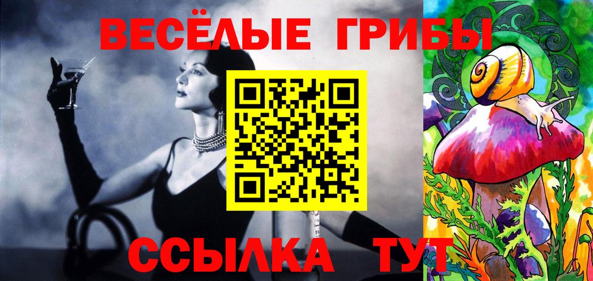 Галлюциногенные грибы прущие грибы Чернушка